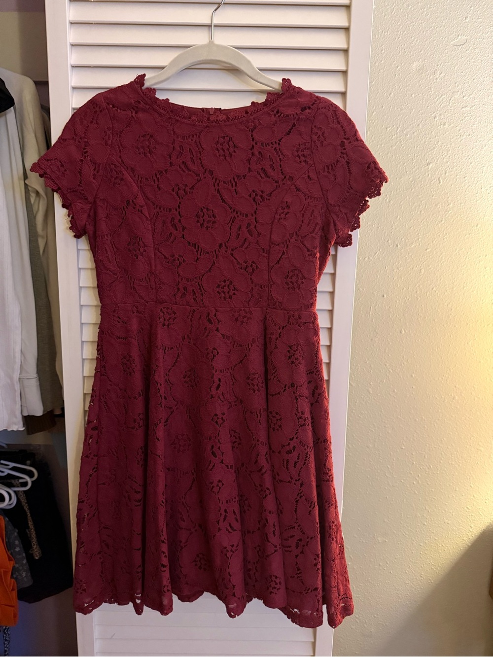 Girls Lace Fit-and-Flare Dress in Wine